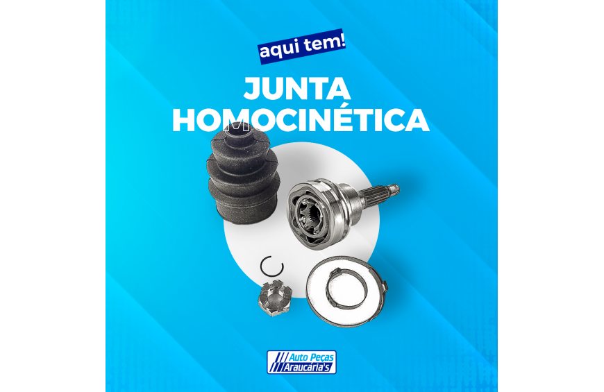 JUNTA HOMOCINETICA