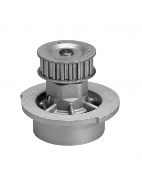 BOMBA D'ÁGUA INDISA - 252010