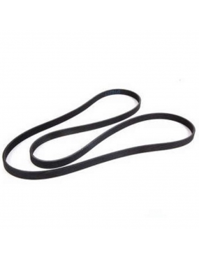 Correia Alternador Dayco