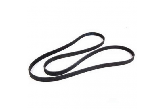 Correia Alternador Dayco