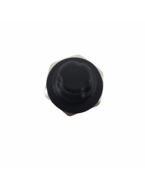 Interruptor Pressão de Óleo Gol/Fox/Polo/Saveiro I Vw 	