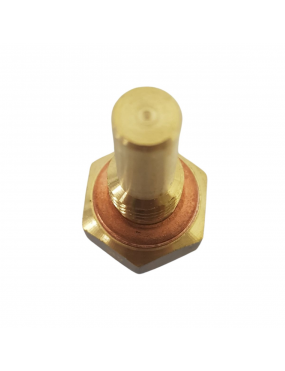 Plug Eletronico Mte