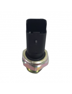 Interruptor Oleo 1007 106 107 206 207 306 307 308 4007 406 407 607 806 807 Boxer Partner C3 C4 C5 C6 Picasso Xantia Jumper Tracker