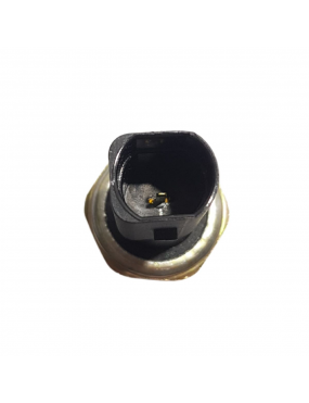 Interruptor Pressao Oleo Golf Bora Passat Variant Polo Jetta Tiguan New Beetle Toureg Cordoba Ibiza A3 A4 A6 A8 Q7 TT