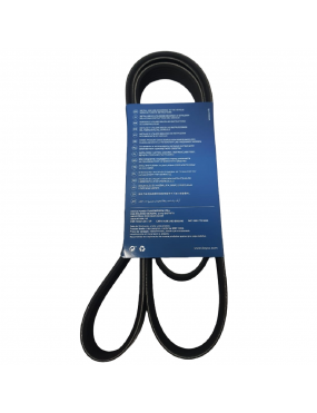 Correia do Alternador Duster/Logan/Sandero/Megane I Dayco
