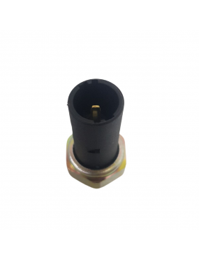 Interruptor Oleo Clio R19 Megane Scenic Laguna Symbol Traffic
