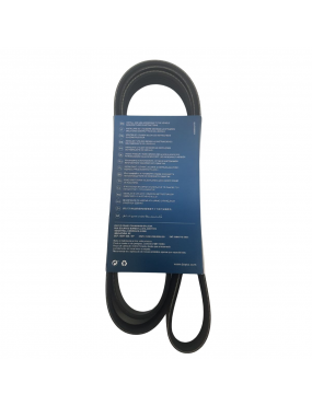 Correia Alternador Dayco