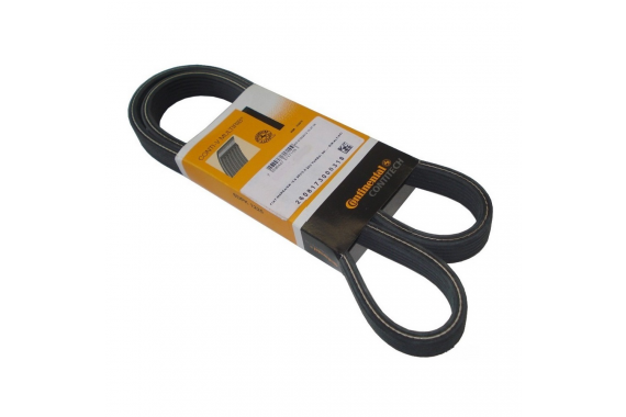 Correia Alternador Contitech