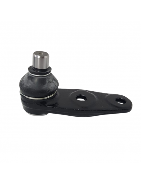Pivo Suspensao 10mm Motoraco