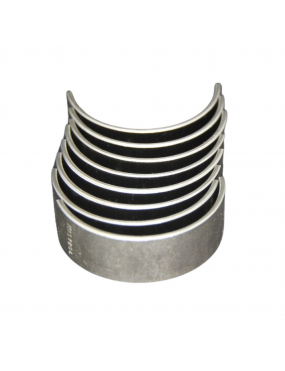 Bronzina Biela Std Sintech
