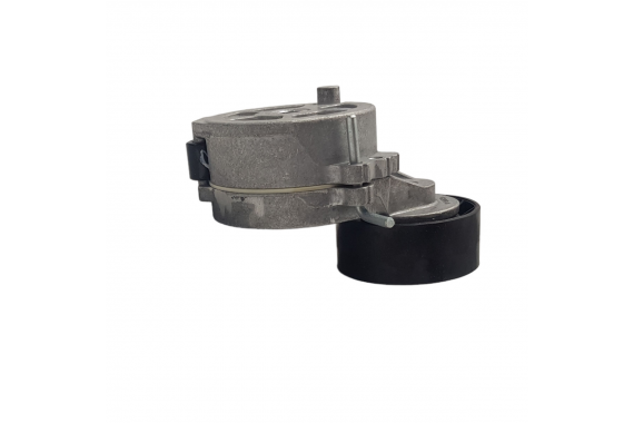 Rolamento Correia Alternador Com Suporte Nytron