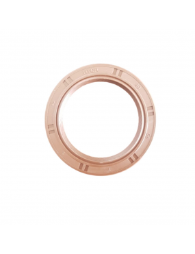 Retentor Comando Válvula Palio/Siena RP4807Y I Rima Parts ..
